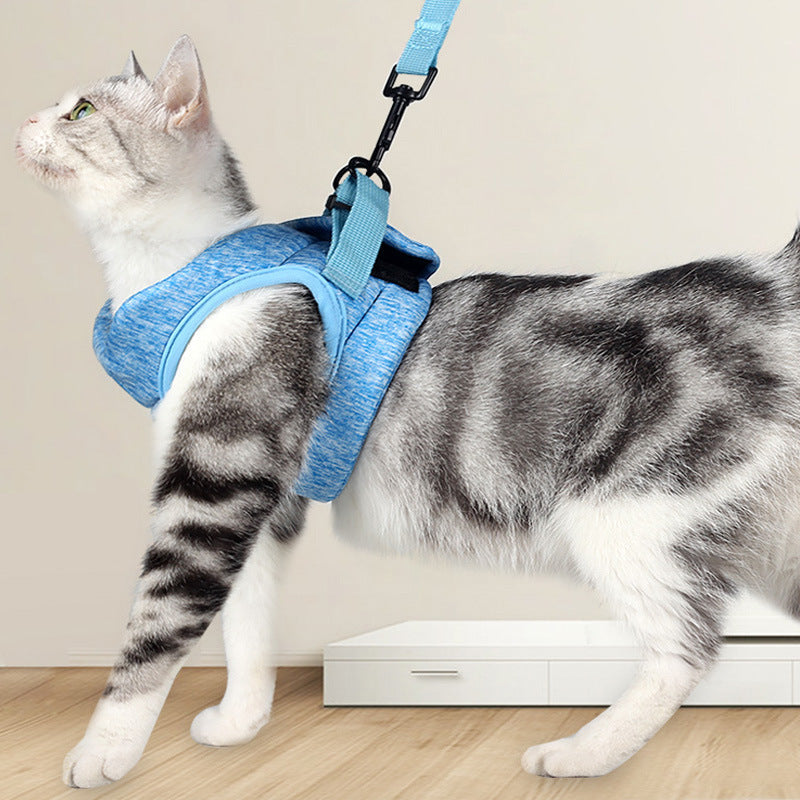 Breathable Lightweight Pet Chest Strap With Lace Leash Set