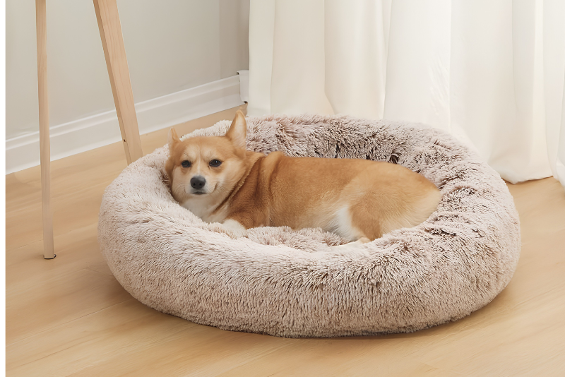 Comfort Creates Happier Everydays Together