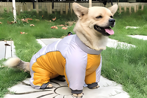 Every Outfit Brings Extra Comfort