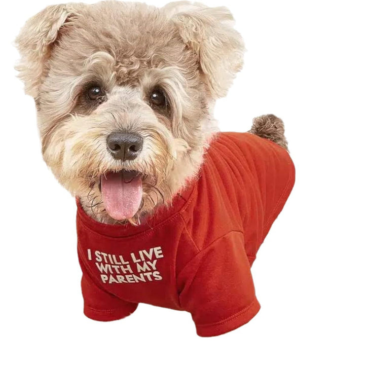 Why Your Pet Deserves the Best: The Ultimate Round Neck T-Shirt